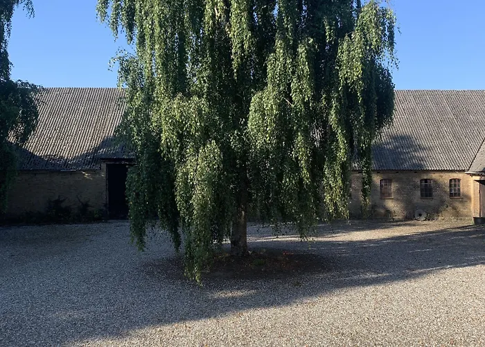 Bed & Breakfast Anne's Bed & Kitchen, Dalgaard 2*